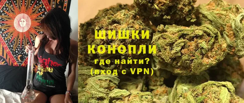 купить наркоту  Малгобек  Марихуана THC 21% 